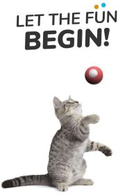 Cat Toys Self-Hi Bore Relief Ball Funny Cat Intelligent Automatic Plush Ball - Light Grey