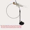 Interactive Cat Feather Toys; Cat Wand Toy And Natural Feather Teaser Replacements With Bell - Hibiscus Bird