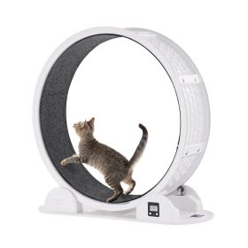 VEVOR Cat Exercise Wheel with Pedometer 40.8" Cat Treadmill for Pet Health White - White