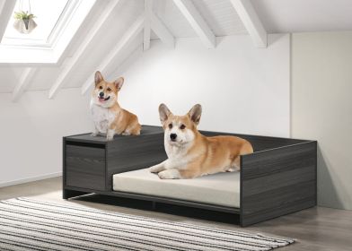 Esme Ash Gray 47" Wide Modern Comfy Pet Bed with Cushion and Side Storage Compartment - as Pic