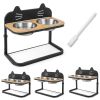 Elevated Pet Feeder with 2 Stainless Steel Bowls for Cats and Small and Medium Dogs - as show