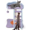 Multifunctional Plush Cat Tree with Ladder - Blue & Purple - Pet entertainment