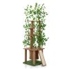 Cat Tree with Artificial Leaves, Cat Condo and Scratching Post - As Picture