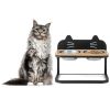 Elevated Pet Feeder with 2 Stainless Steel Bowls for Cats and Small and Medium Dogs - Black