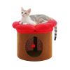 Cylindrical Flower-Shaped Cat House for Home Decor - Brown - M