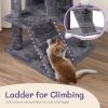 53 inch Multi-Level Cat Tree Cat Condo with Scratching Posts Kittens Activity Tower Pet Play House Furniture, Dark Grey - as picture