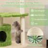Cute Cat Tree for Indoor Cats with Supporting Frame - Green - Pet entertainment