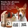 Hеmp Oil for Dogs Cats Hiр and Jоint Suppоrt and Skin Hеalth Anxiеty Cаlm Pаin Omega 3 6 9 and Vitаmins B C E - Charlie & Buddy