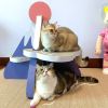 ScratchMe Cat Scratcher Post Board, Mount Fuji Shape Cat Scratching Lounge Bed, Durable Pad Prevents Furniture Damage - as Pic
