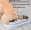 Stainless Steel Pet Bowls with Automatic Water Bottle - Blue