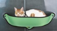 Pet Life 'Gravity-Lounge' Suction Cup Kitty Cat Lounger and Bed - Green