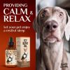 Hеmp Oil for Dogs Cats Hiр and Jоint Suppоrt and Skin Hеalth Anxiеty Cаlm Pаin Omega 3 6 9 and Vitаmins B C E - Charlie & Buddy