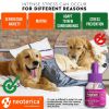 Dog Calming Pheromone Diffuser Refill 2 Pack DE Stress Formula Anti Anxiety Treatment for Cats Reduce Spraying Scratching Fighting - Beloved Pets