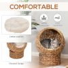 20" Natural Braided Banana Leaf Elevated Cat Bed Basket with Cushion - Brown - Brown