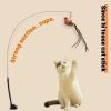 Upgraded Epoxy Sucker Steel Wire Long Rod Feather Cat-Teasing Stick Cat Self-Hi No Harmful Ingredients - 1PCS