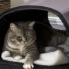 Dome Heated Cat House Portable and Waterproof Pet Shelter for Kitty in Winter, Brown - Brown
