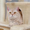 Modern Multilevel Plush Double Condos Cat Tree - Beige - Pet entertainment