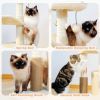 Cat Tree with Natural Sisal Rope Cat Toys for Indoor - Beige - Cat Tree