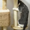 Cat Tree for Indoor Cats w/ Scratching Posts, Condo Cat Tower, Beige - Beige