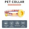 For Airtag Tracker Protective Case Cat Dog Collar - Pineapple Parrot - Pet Supplies