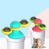 Spinning Catnip Cat Toy with Suction Cup & Groomer - pink