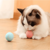 Electric Dog Toys Smart Puppy Ball Toys Cat Toys, Automatic Moving Rolling Ball For Indoor Cats - Blue