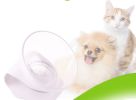 Cat Food Bowl Pet Feeding Bowl Elevated Feeder Bowl with Non-Slip Rubber Base - white