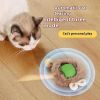 Interactive cat toy for indoor cats - Green - Pet Supplies