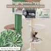 Multi-level Cat Tree and Condo with  Anti-tipping Device